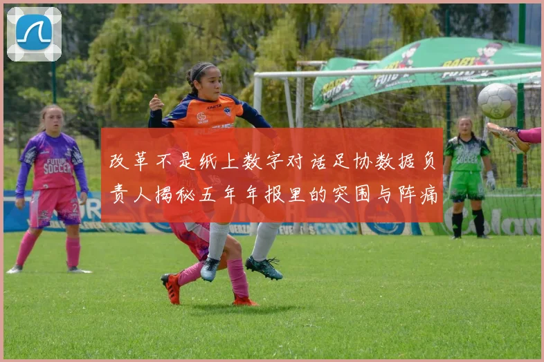 改革不是纸上数字对话足协数据负责人揭秘五年年报里的突围与阵痛